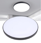  toilet ceiling light