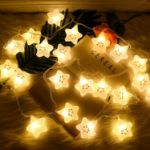  decorative fairy lights