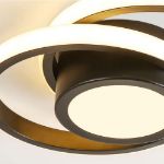 double circle ceiling lamp