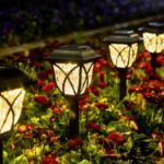 solar powered garden lights