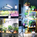 Picture of Grow Lights for Indoor Plants, 80Leds Plant Light with Stand for Tall & Large Plants, Full Spectrum Floor Grow Lamp 