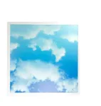 Picture of 48W Sky Cloud Pattern LED Slim Panel Ceiling Light 600x600 mm + Driver