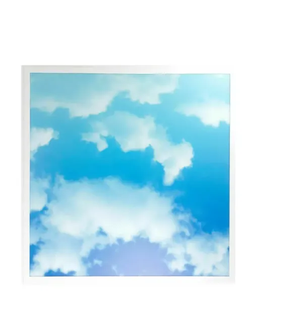 Picture of 48W Sky Cloud Pattern LED Slim Panel Ceiling Light 600x600 mm + Driver