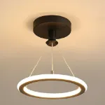 Picture of Modern Chic LED Ceiling Lamp  Stylish Pendant Light for Any Room