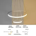 Picture of Modern LED Ceiling Light, Chic 2/3 Ring Pendant Chandelier with Dimmable Remote Control